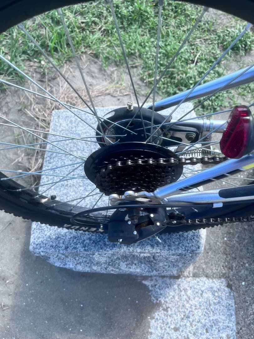 伊佐祐毅 さん専用COCHORN BMX 22インチ