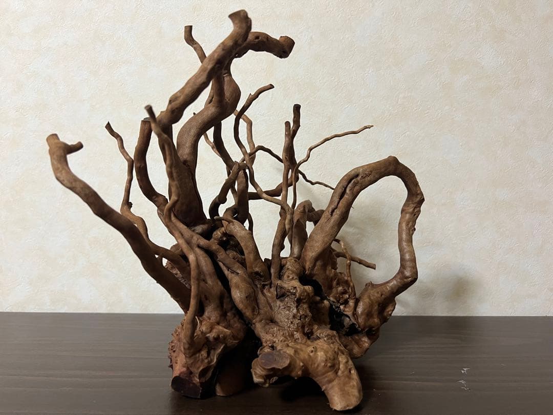 10936 ブランチウッド　流木　アクアリウム　沈水確認済