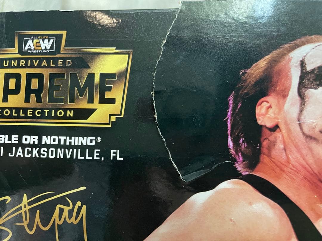 AEW ジャズウェアズ　ウォルマート限定　スティング　フィギュア　(箱破損あり)