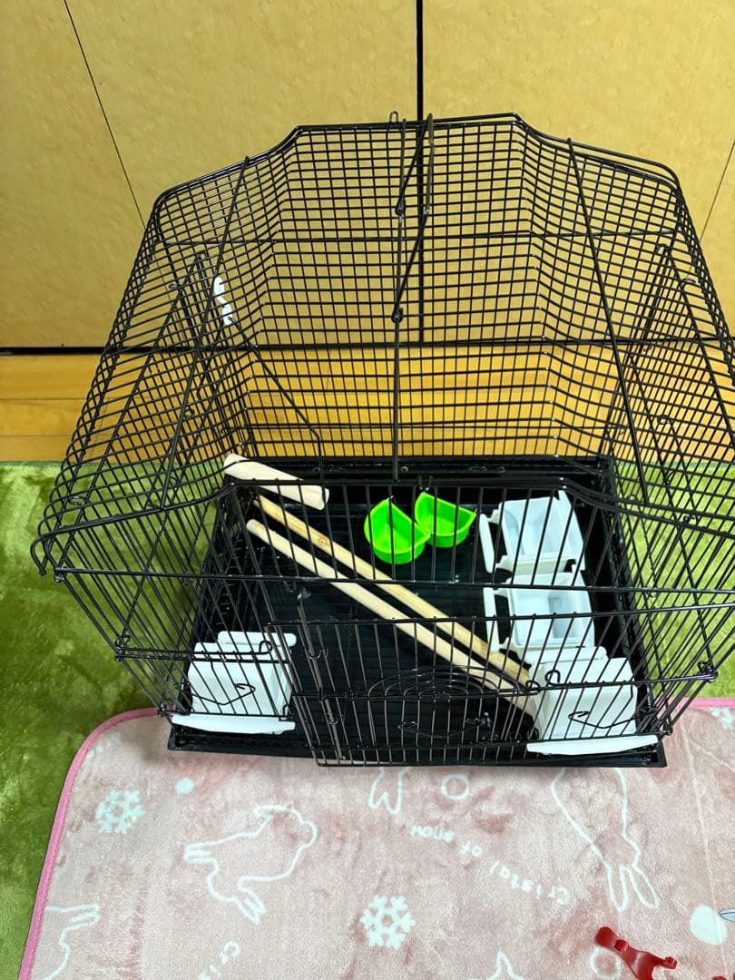 中型黒鳥かご、止まり木・餌入れ付き