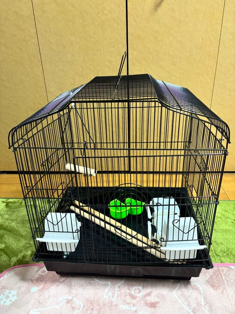 中型黒鳥かご、止まり木・餌入れ付き