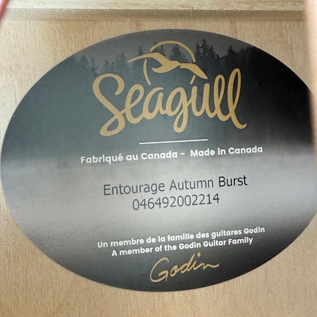 ギター Seagull Entourage Autumn Burst Acoustic