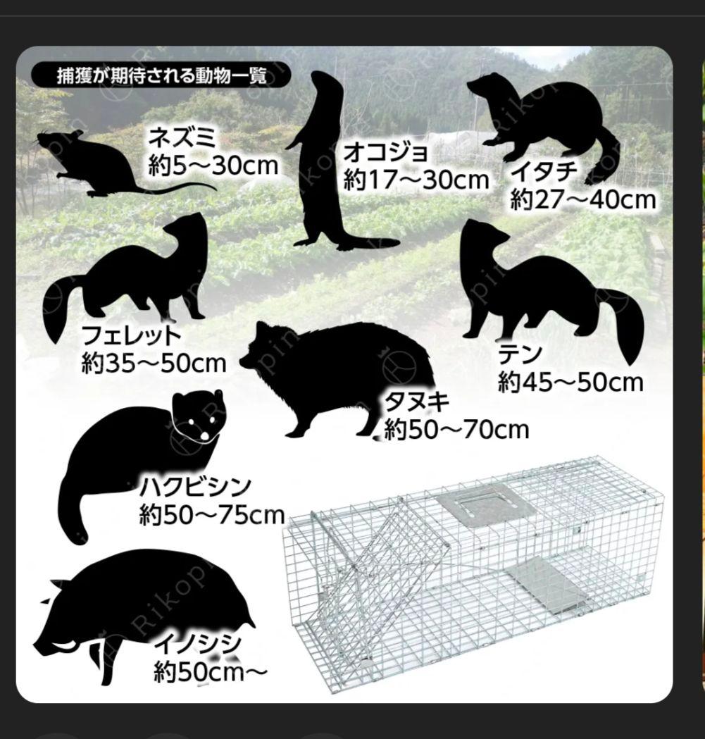 動物捕獲器