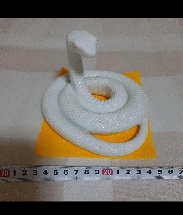 シロヘビ　白蛇　金運財運　巳神