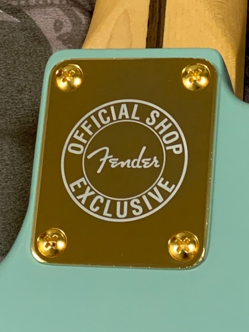 ぽ*っ様 FENDER Thinline Kusumi Telecaster