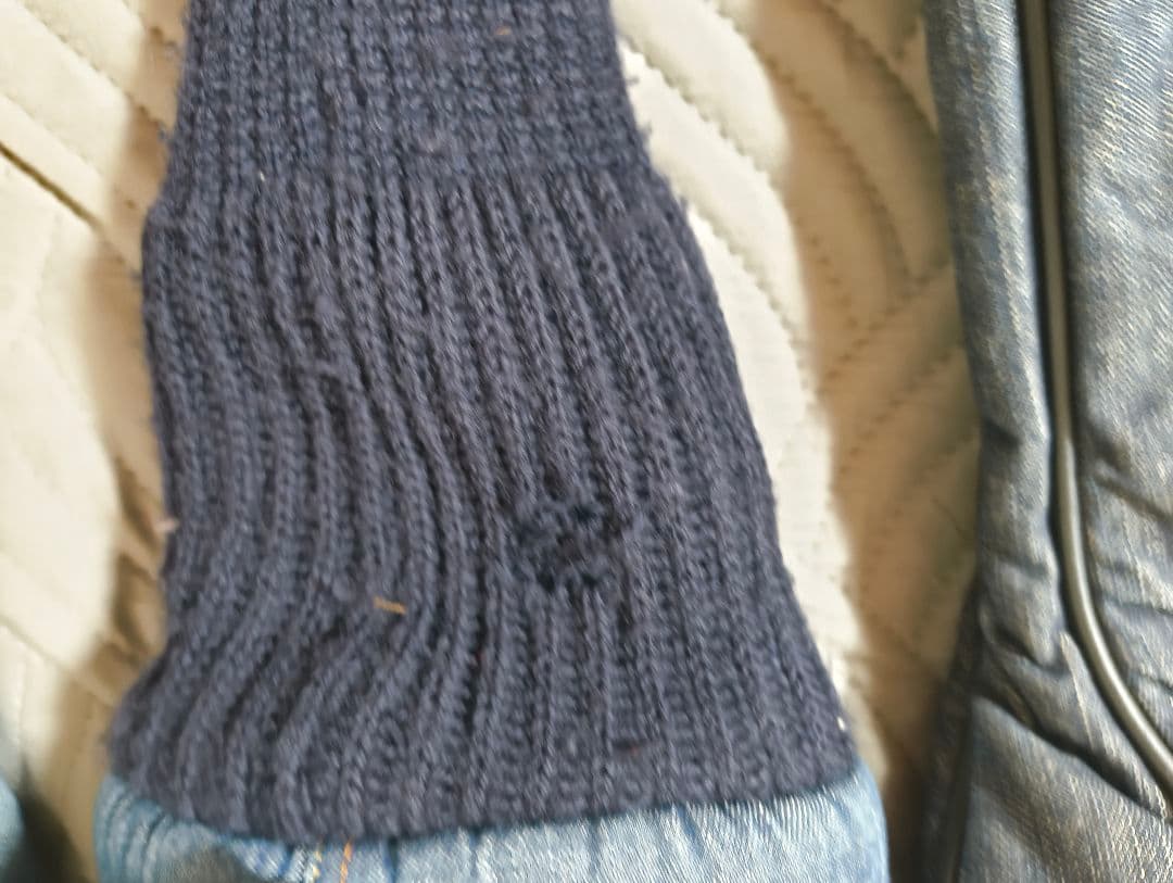 希少　エビス　EVISU キャディバッグ　ヘッドカバーセット