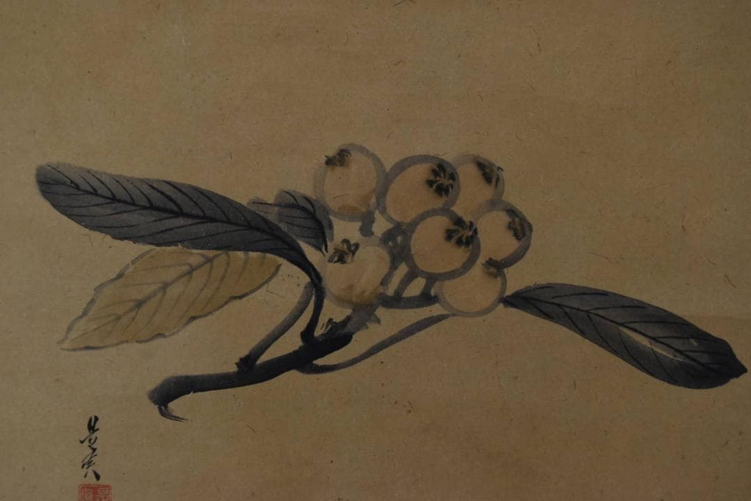 【真作】柴田是真/枇杷図/ビワ図/横物/掛軸/名家伝来/AA-26