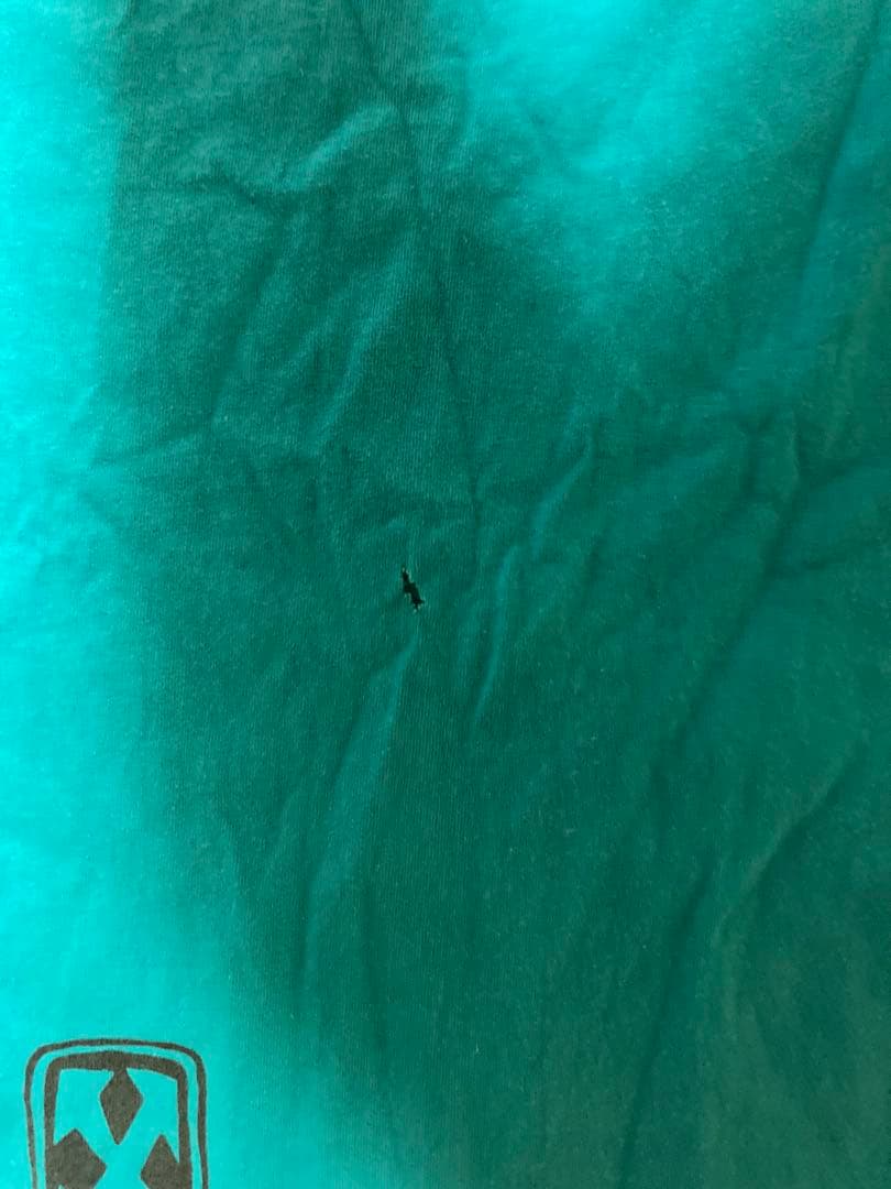 H-STREET Tシャツ santa cruz zorlac plan-b