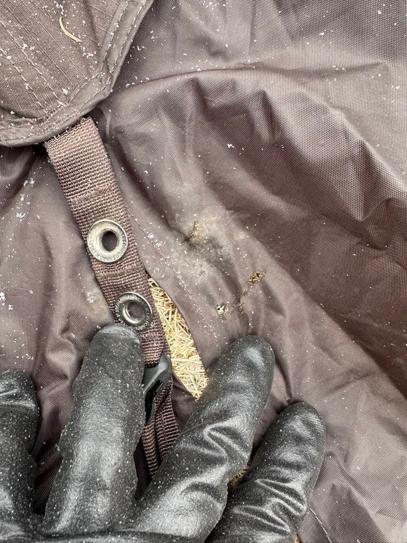 1953CAMPERSKHAN TENKER 伊豆のぬし釣り