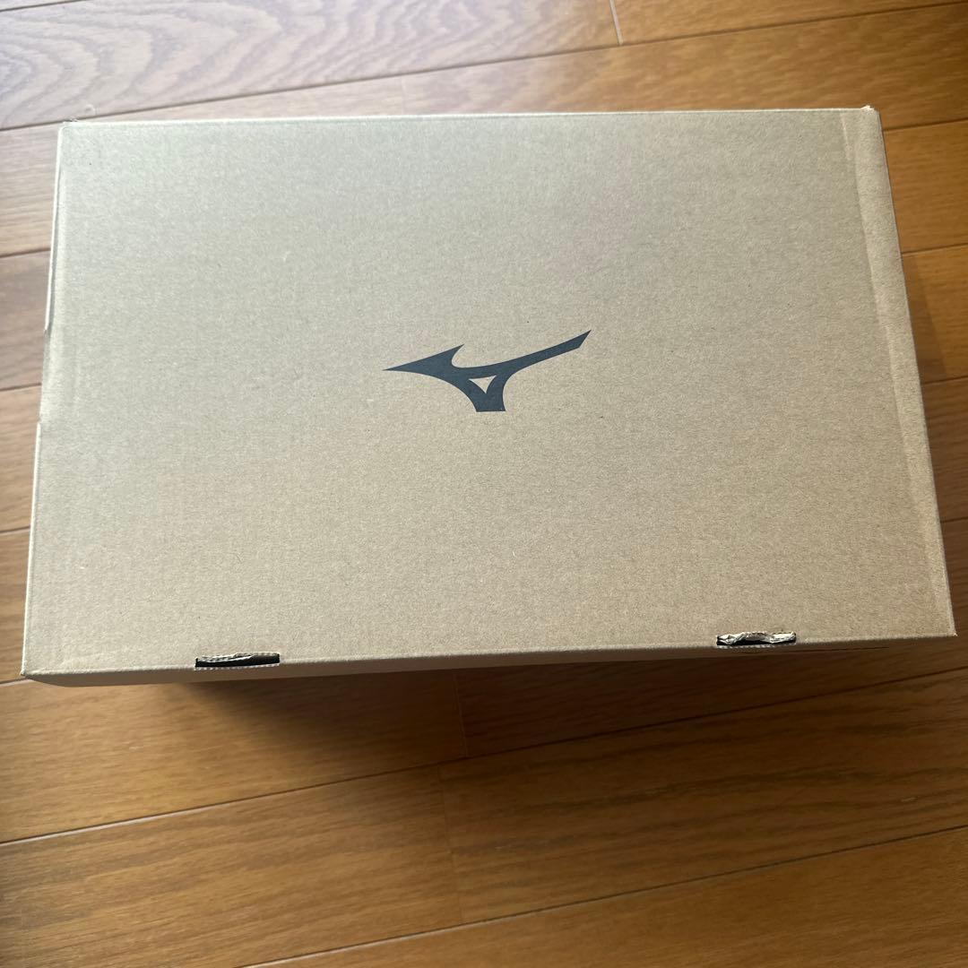 着用1回☆Mizuno ハザードエナジーゴルフシューズ27cm