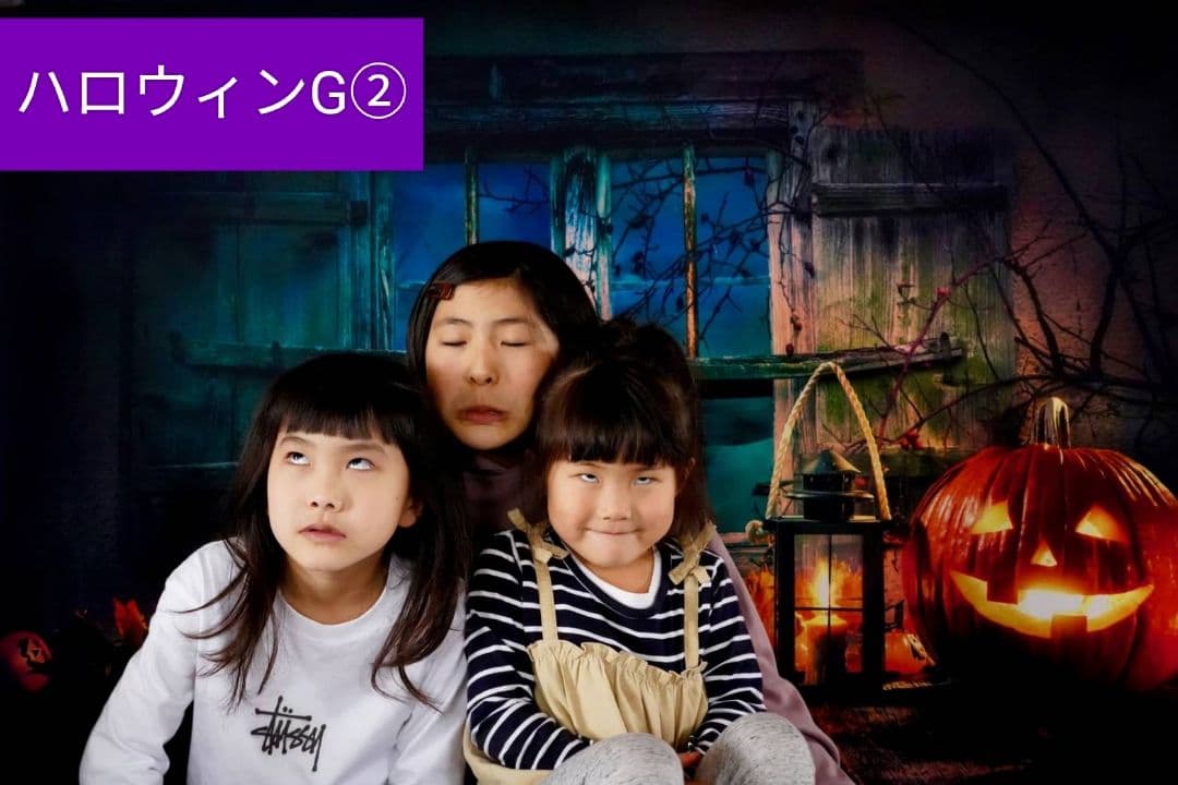 背景布ハロウィンK②　ペット、パーティー撮影用フェルトトリミングチョーカー販売中