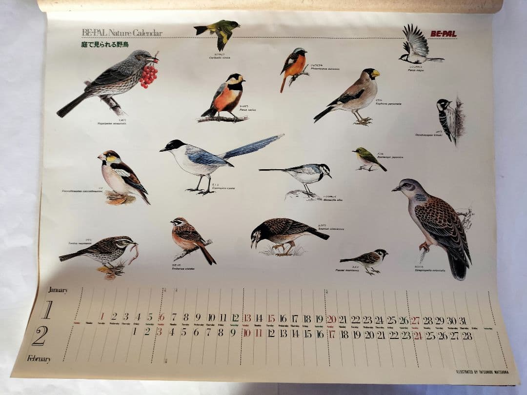 BE-PAL ビーパル カレンダー 新品未使用 1991年動物編　ヴィンテージ