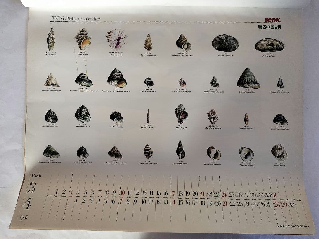 BE-PAL ビーパル カレンダー 新品未使用 1991年動物編　ヴィンテージ