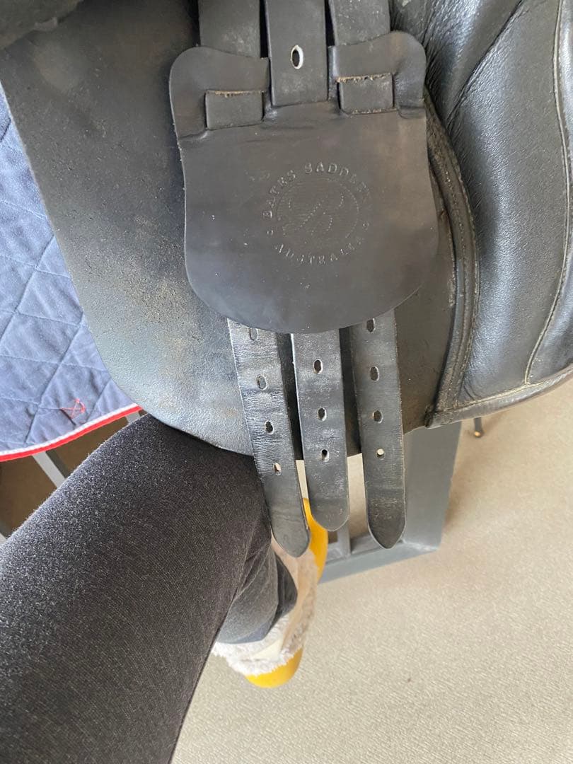 乗馬鞍　美品前後肢プロテクター他付属品付❣️