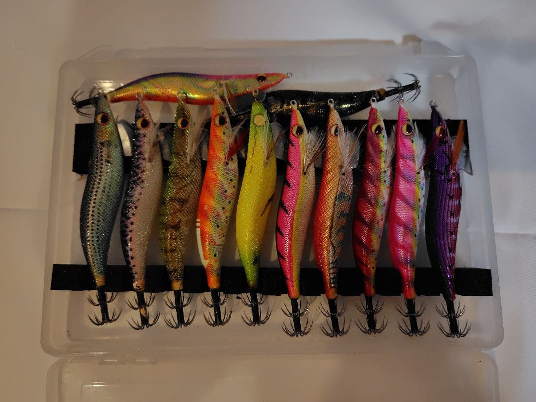 2月 限定価格⚠️‼️値下げ、エバーグリーン　エギ番長　エギング引退セット‼️