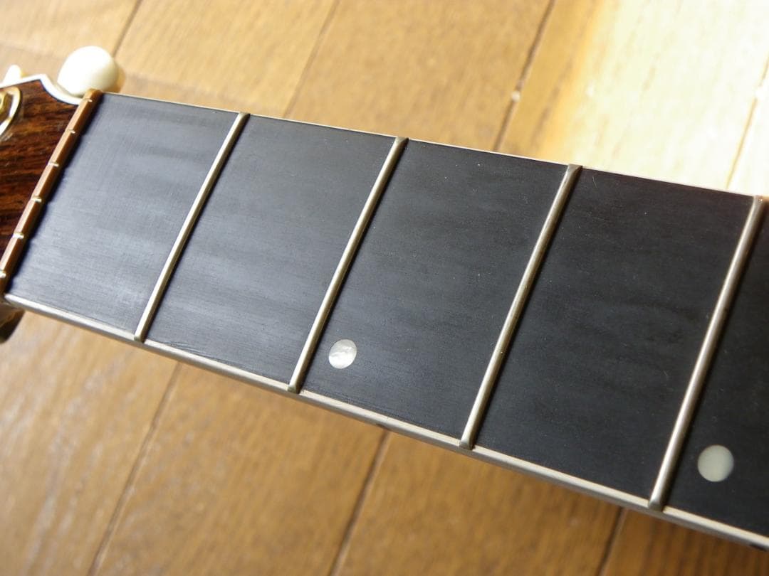 お値引き/シーガルArtist Studio EQエレアコ、LR Baggs装備