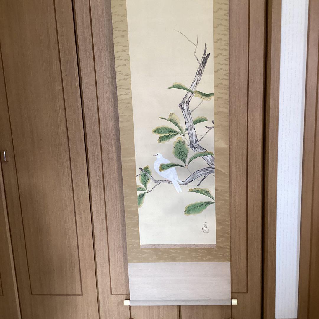 武田一路筆　彩色花鳥画　【　銀　鳩　図　】　肉筆　自題箱　　絹本掛軸一幅　509