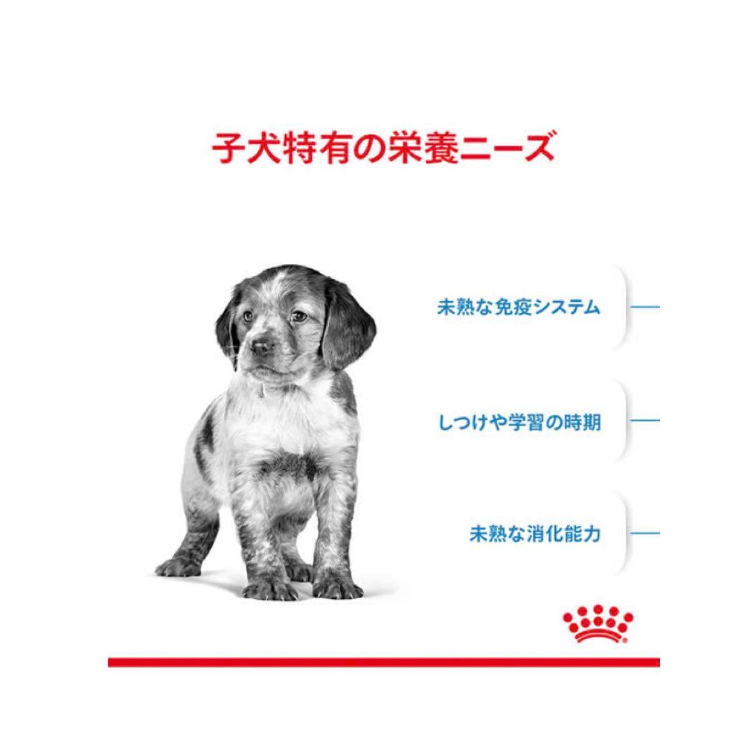 ミディアムパピー16kg ロイヤルカナン