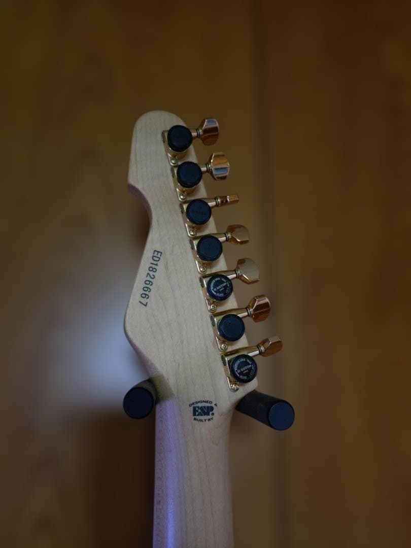 7弦エレキギターEDWARDS E-SN7-210TO【大村孝佳モデル】