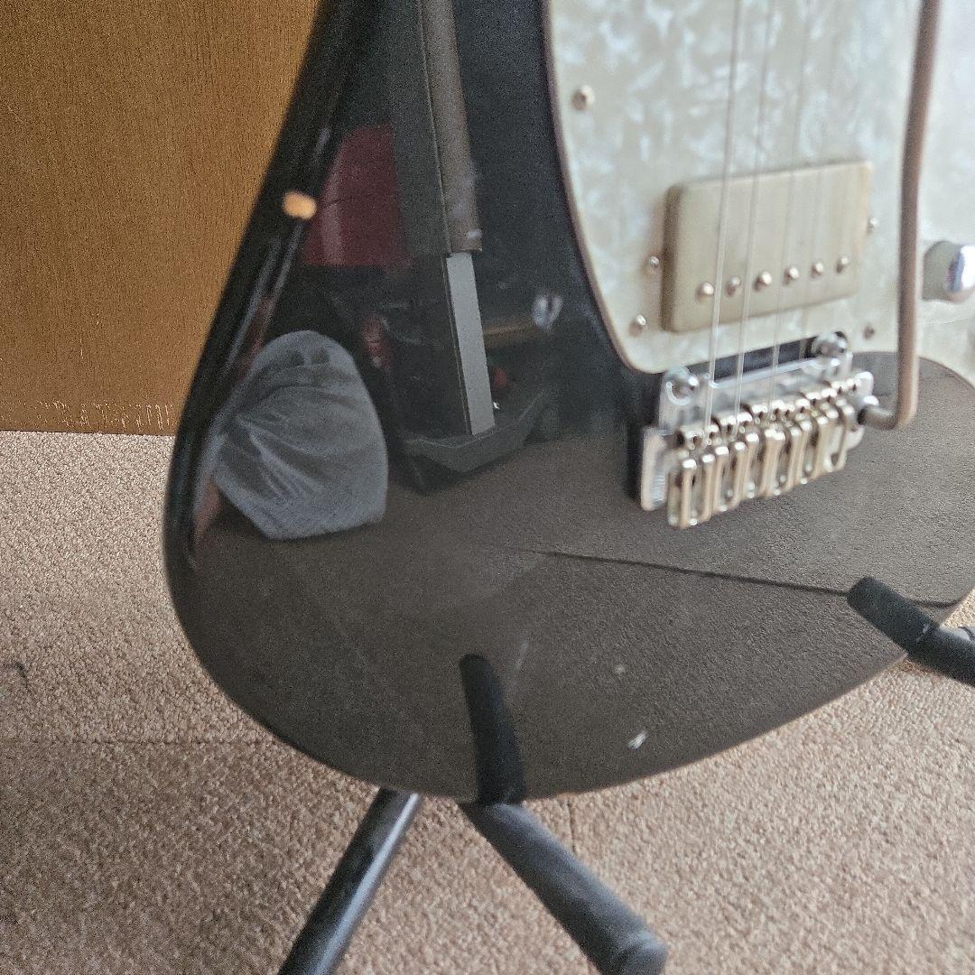 FROM JAPAN公式アカウント01Fernandes Regulus