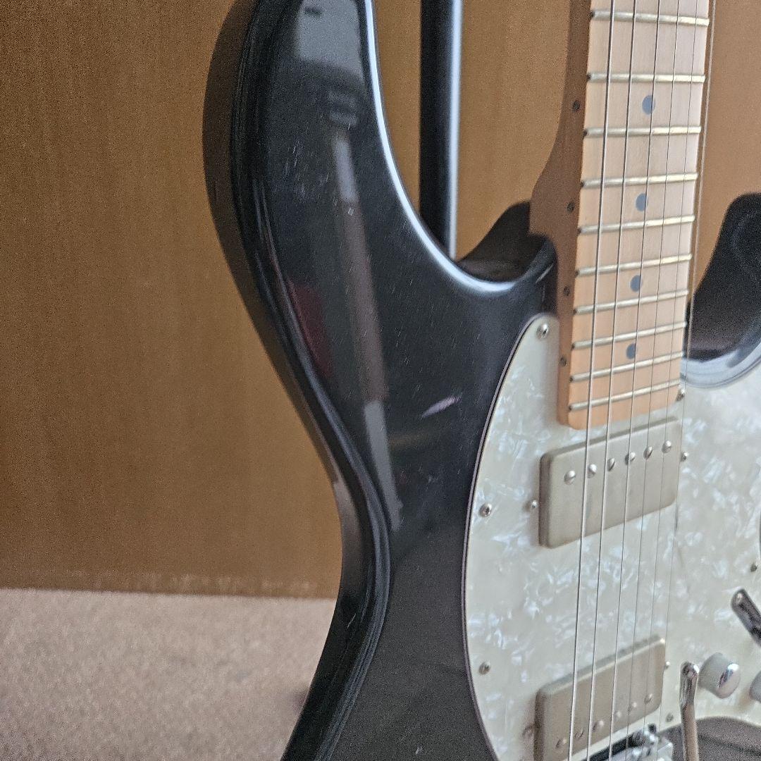 FROM JAPAN公式アカウント01Fernandes Regulus