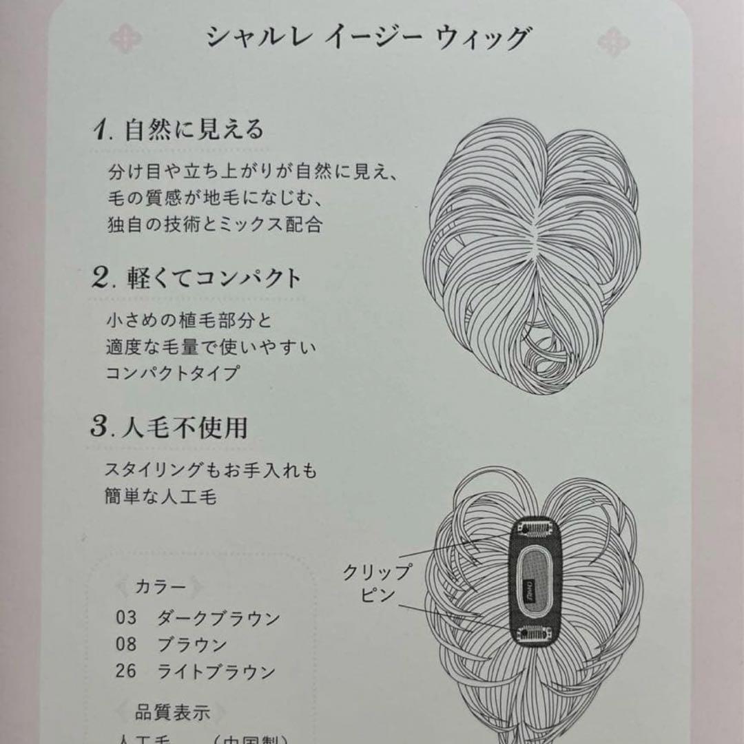CHARLE ライトブラウン イージーウィッグ　レディース　RA371