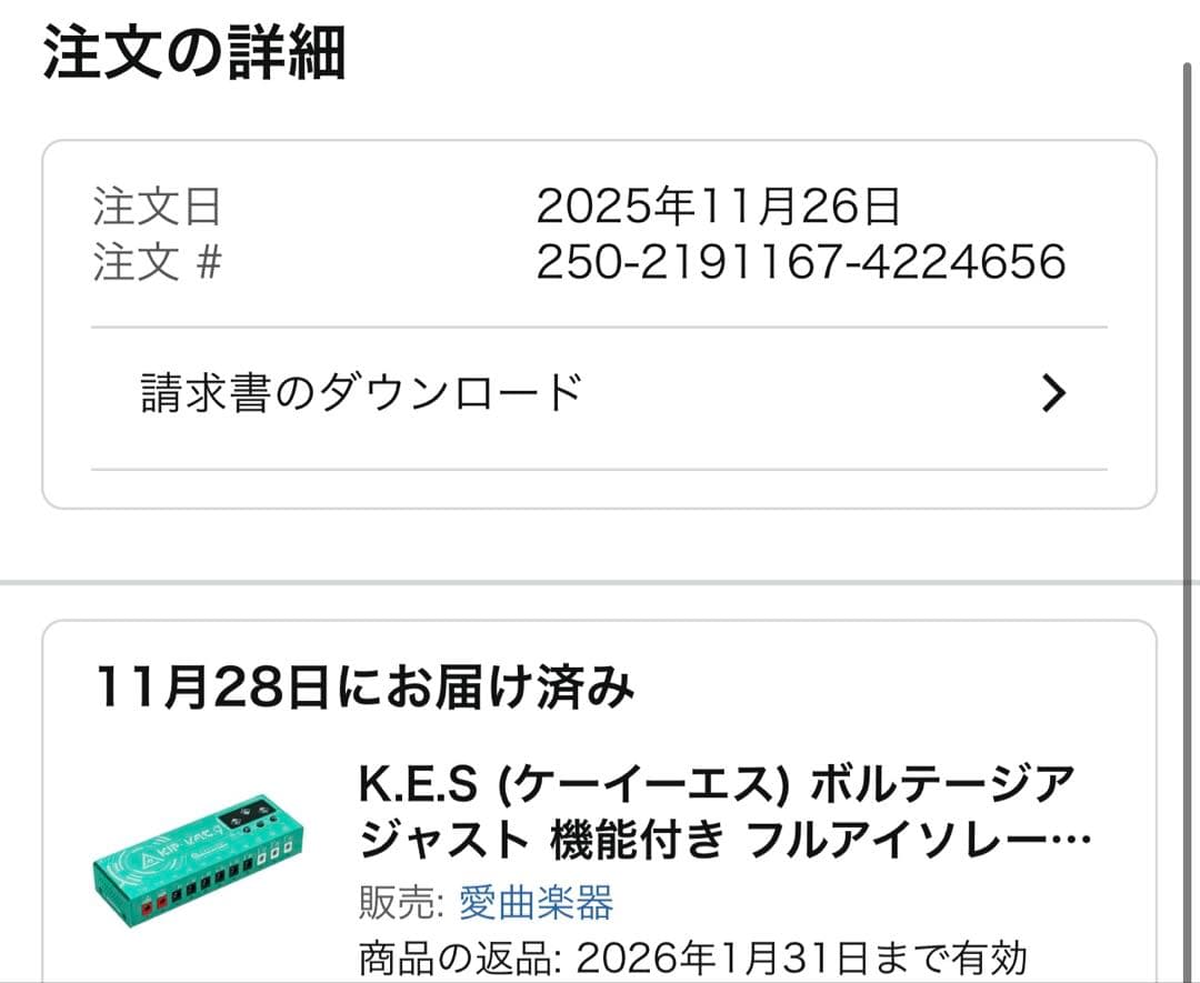 ギター K.E.S KIP-V.A.C.9