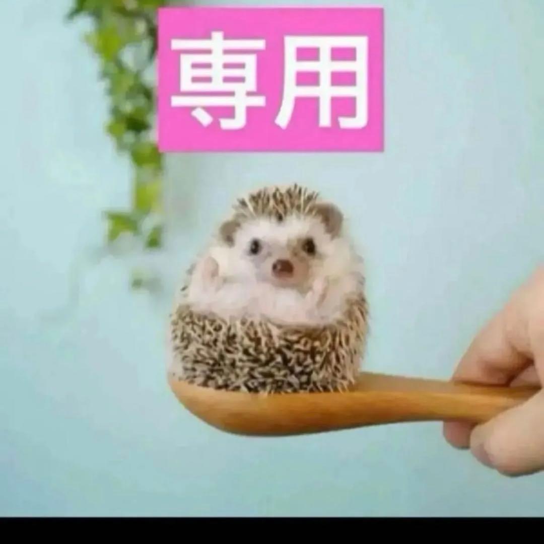 2点、リンクルセラム、プレミエ