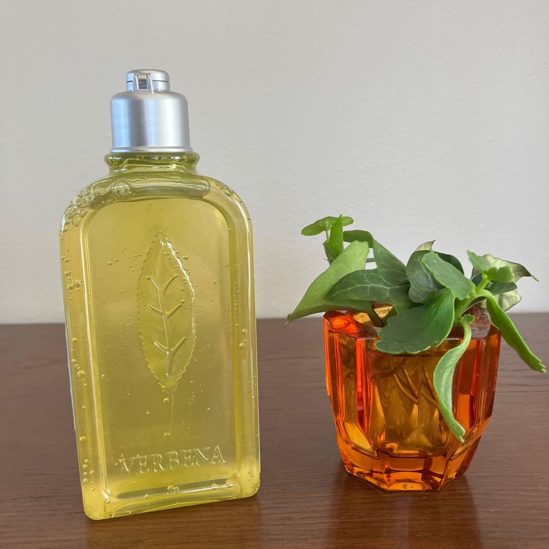 な*迎様 ロクシタン　L'OccitaneVerveine Menthe セット