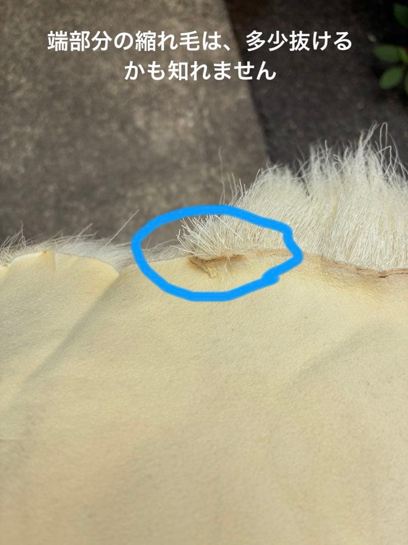 トナカイ　毛皮　敷物　ラグ　北欧　インテリア　ブッシュクラフト　キャンプ