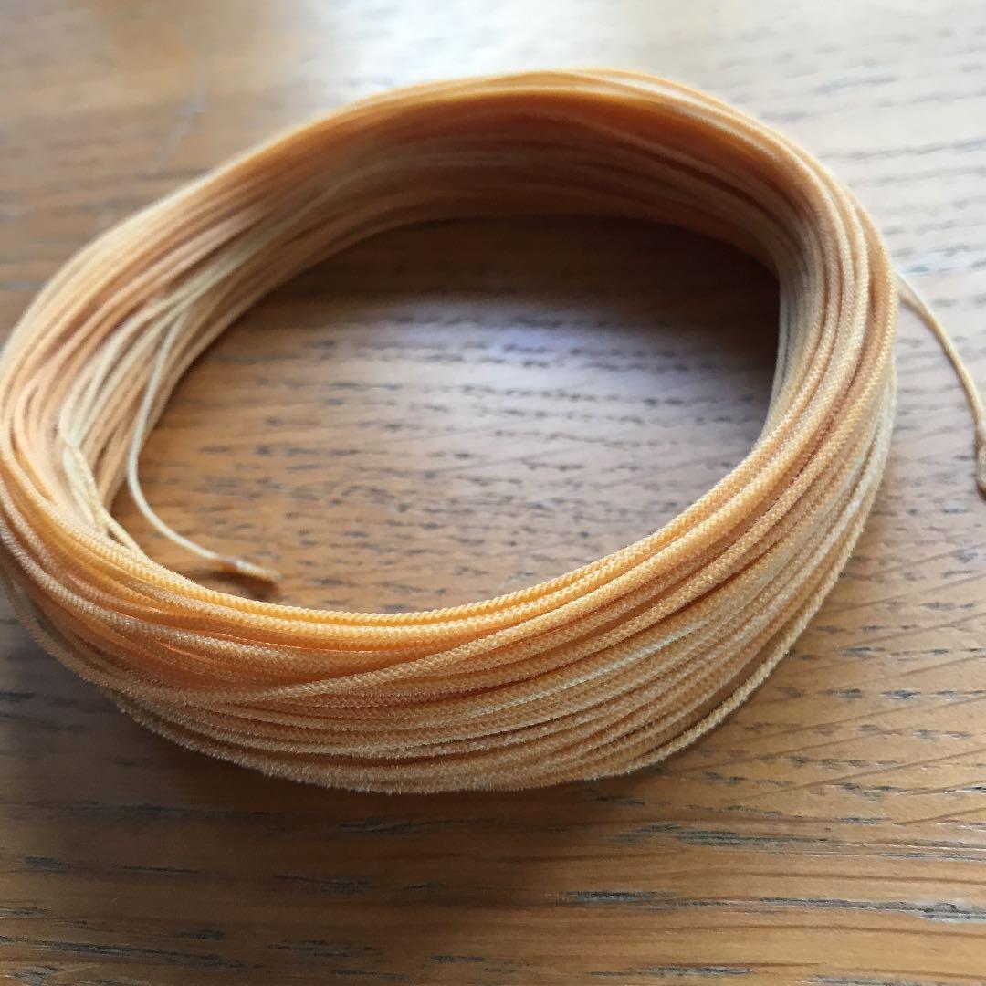 釣り仕掛け・仕掛け用品 Phoenix Silk Line DT5