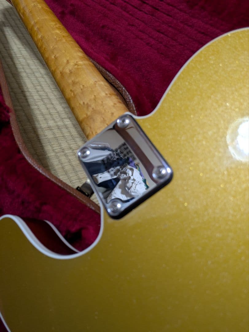 ギター k.nyui custom guitars knte gold back