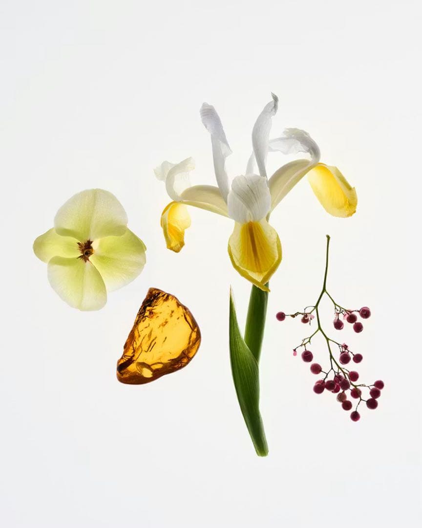 glossier 香水 glossier you 新品・未使用