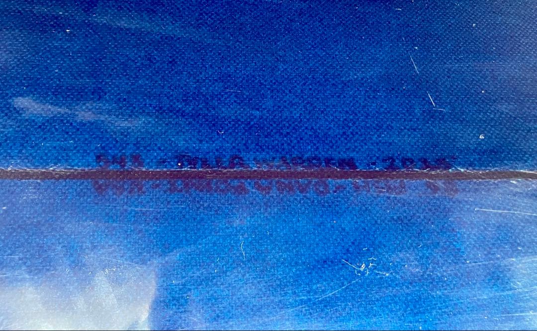 タイラーウォーレン　サーフボード　フィッシュ