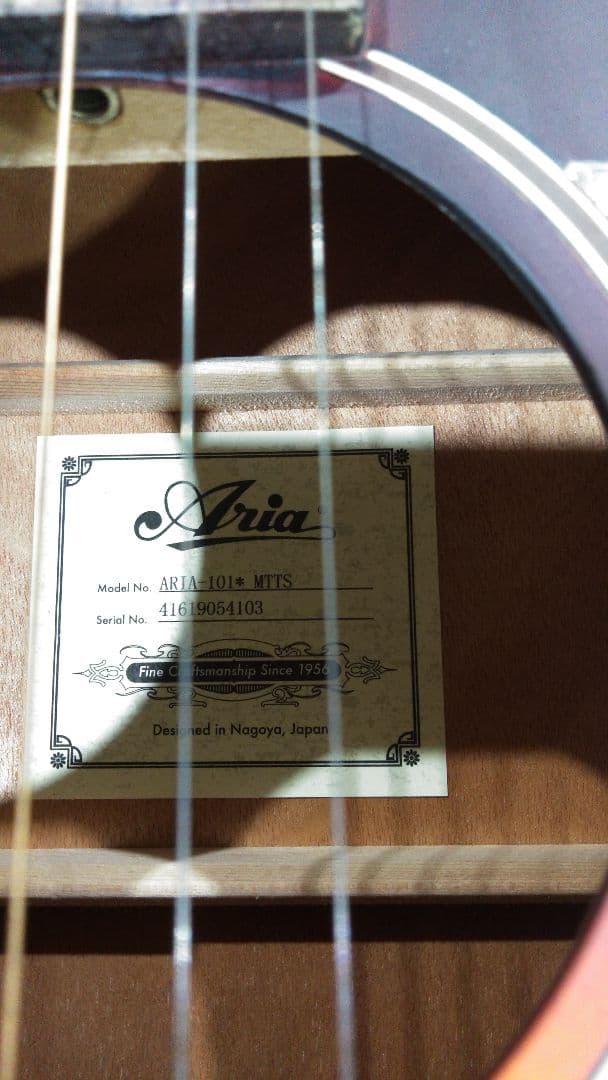 ARIA 　Aria　アコースティックギター　101 MTTS　ギターケース付き
