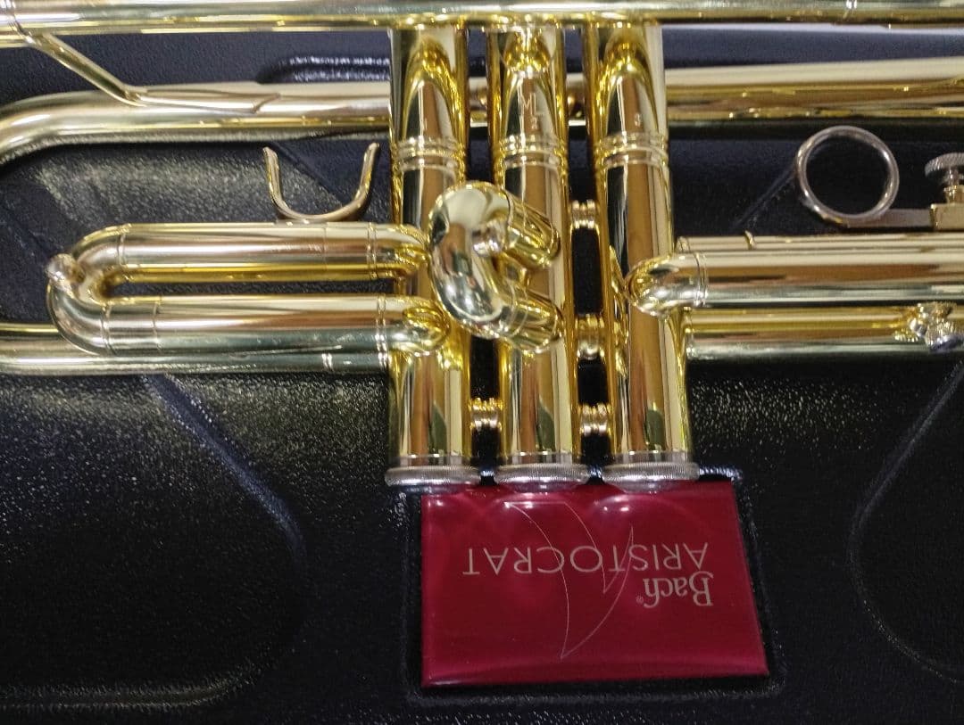 Vinent BACH TR-600 トランペット 本体　極美品！純正ケース付き
