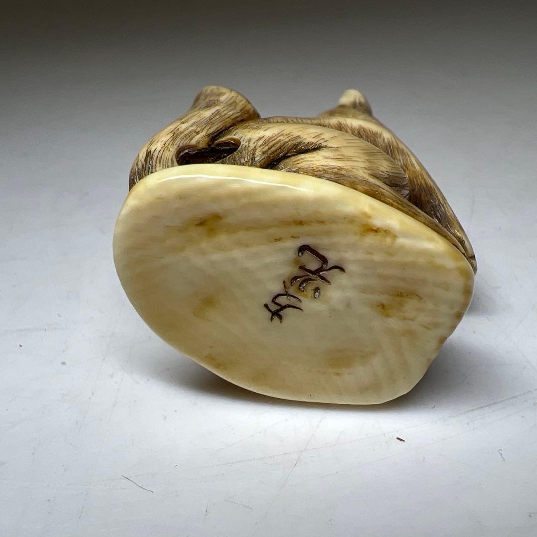 友光在銘　極上大振キツネ根付　31g 東Y8-0204☆2Fトコサ