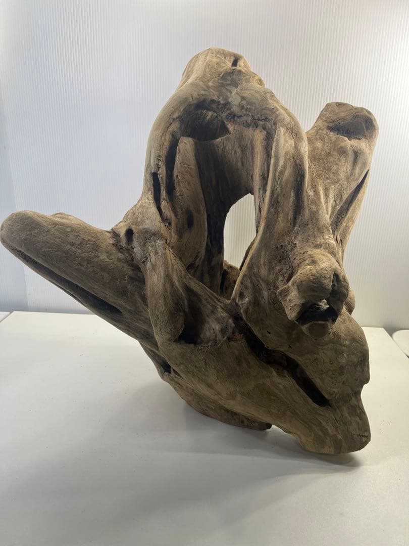 R79アク抜き済み流木 爬虫類シェルター 登り木 インテリア 生け花