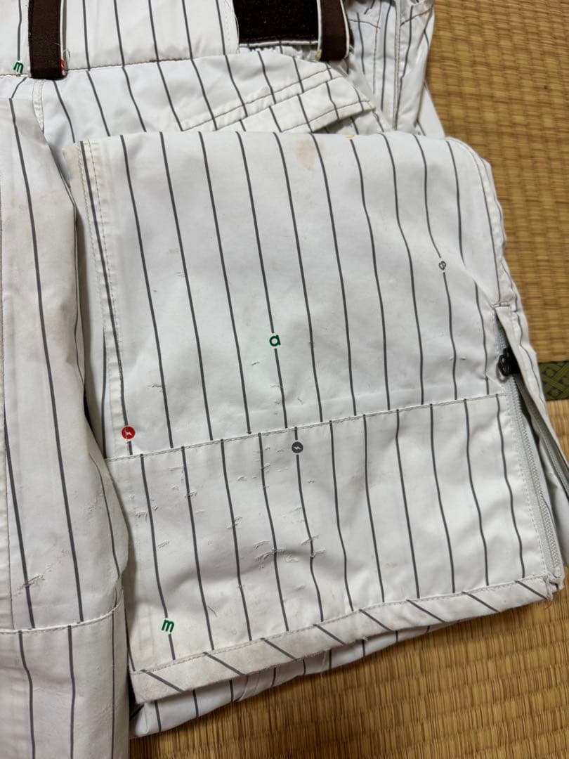 ホワイトストライプ スキーウェアセット　サロモン　レディース