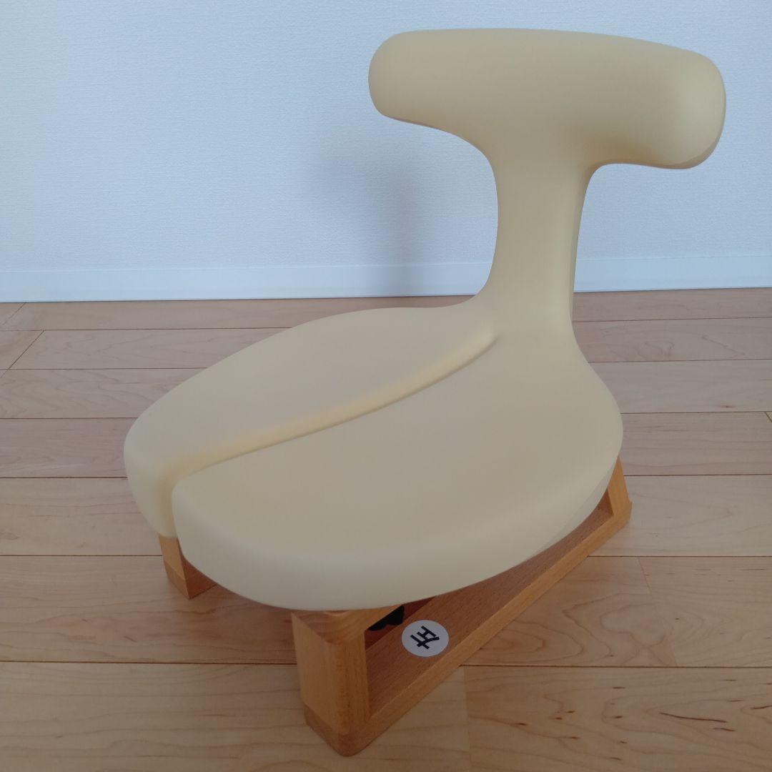 アーユルチェアー メディカルシート 座椅子 ayur-chair