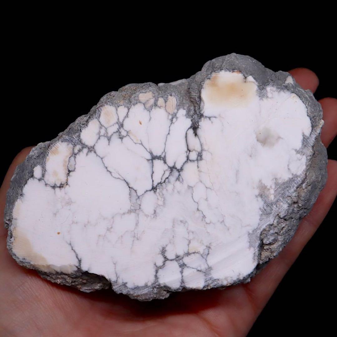 大きい！ハウライト 463.2g HWT033 原石 鉱物　天然石パワーストーン