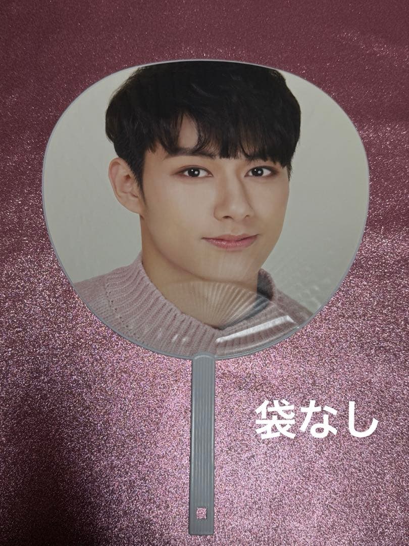 ジュン うちわ 9枚セット