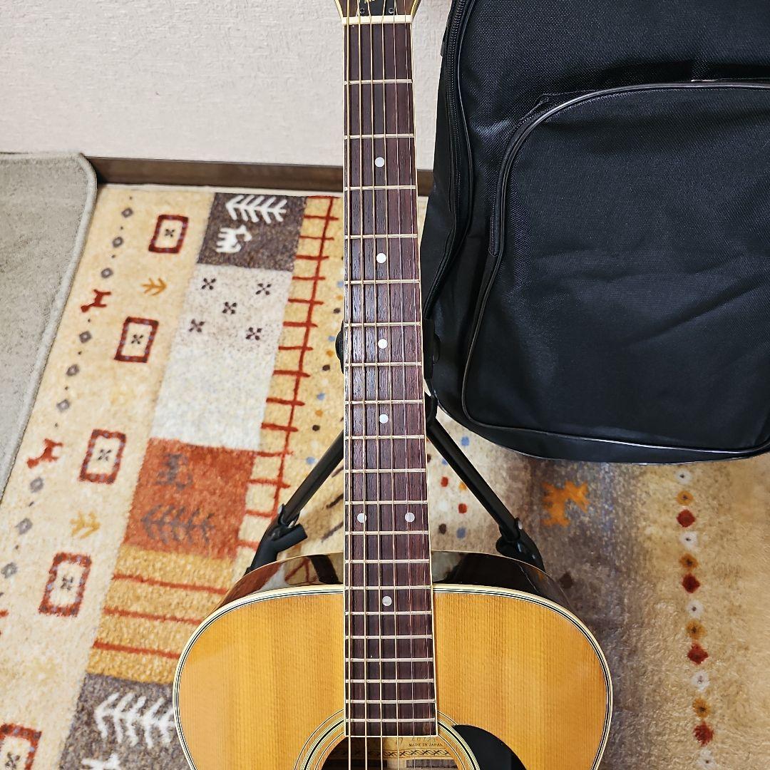 Morris.F-25四角ラベル初期型 キグバック付き