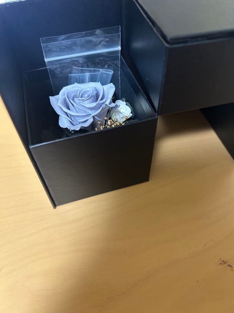 D:STONE スタンリー・スナイダー リング付きボックス