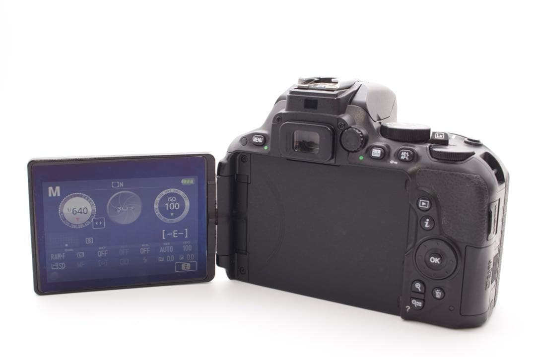 最終価格❣️Nikon D5500 標準レンズキット　手ぶれ補正　箱Wi-Fi搭載