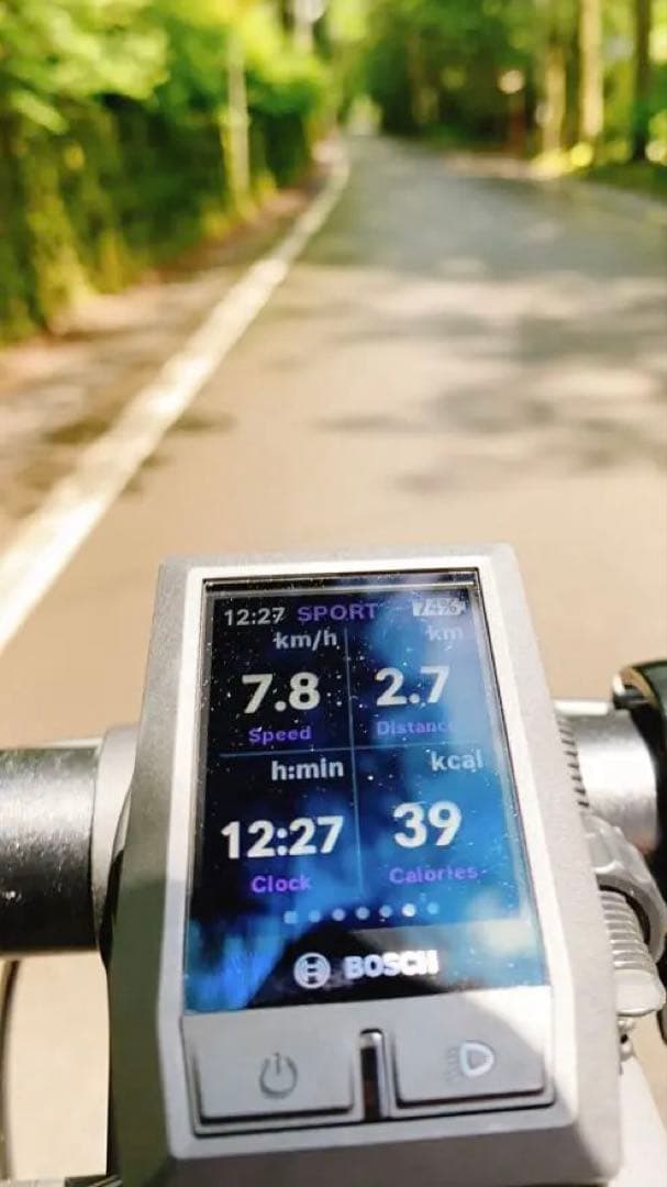 稀少CANNODALE e-bike TOPSTONE Carbon lefty