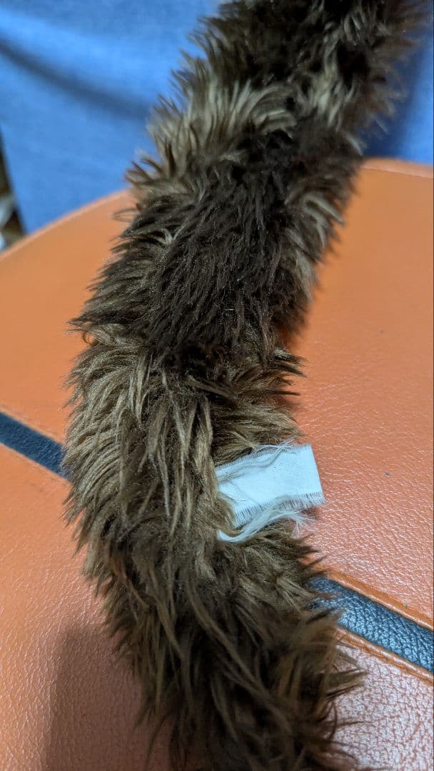 確認用画像です!!