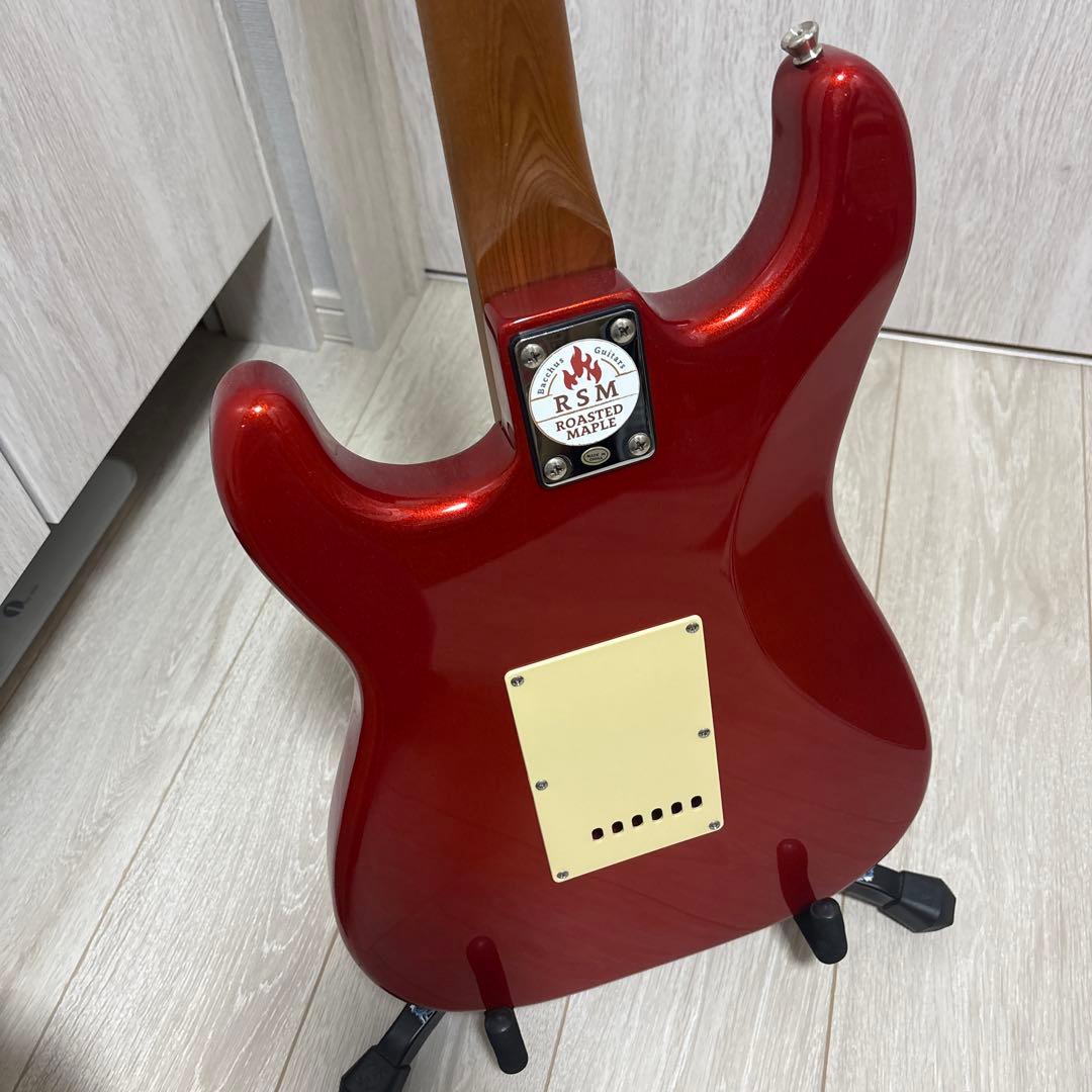 Bacchus カスタム改造ギター