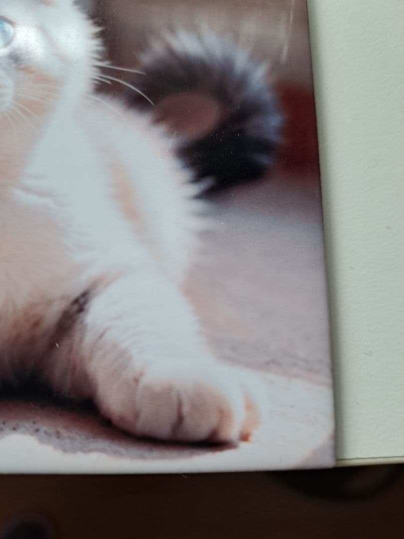 昇華用 セラミックタイル 108×108mm　96枚