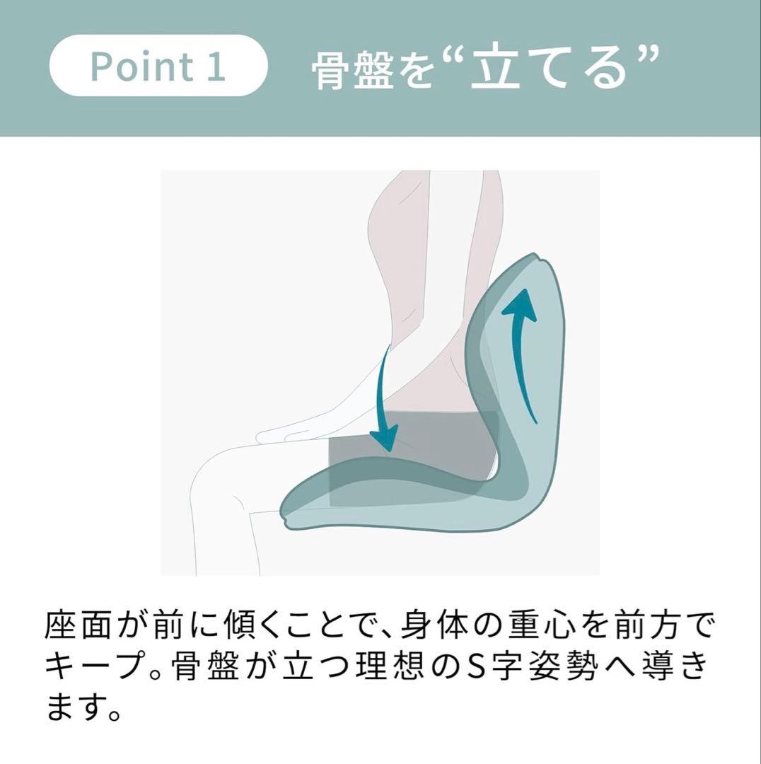 超美品 Style PREMIUM Series 骨盤サポートチェア 座椅子 黒